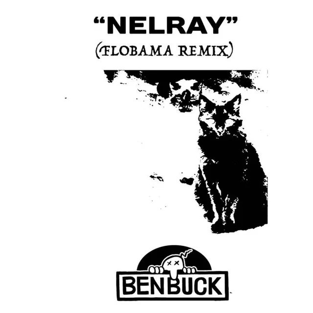 NELRAY (Flobama Remix) cover