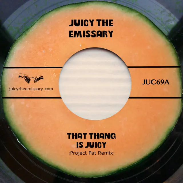 That Thang is Juicy cover