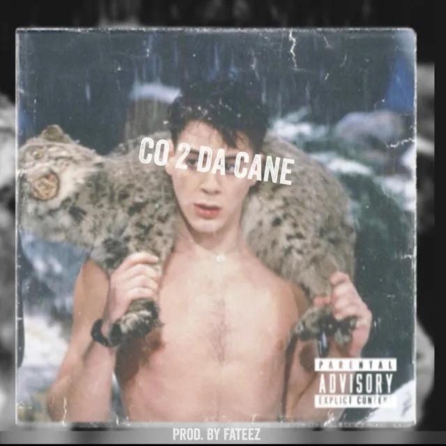 Co 2 Da Cane cover