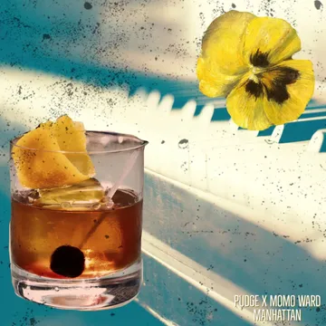 Manhattan cover