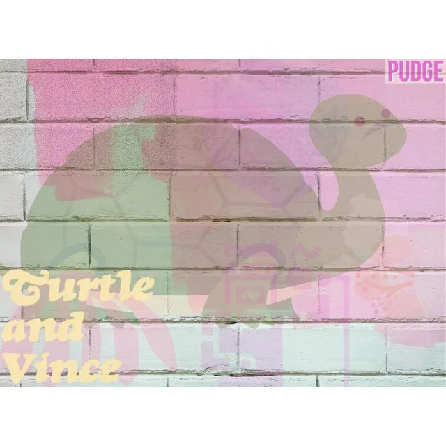 Turtle and Vince cover