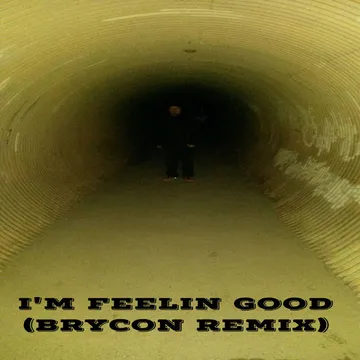 I'm Feelin Good (Brycon Remix) cover