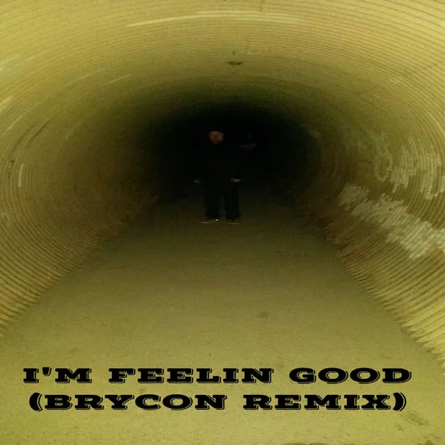 I'm Feelin Good (Brycon Remix) cover