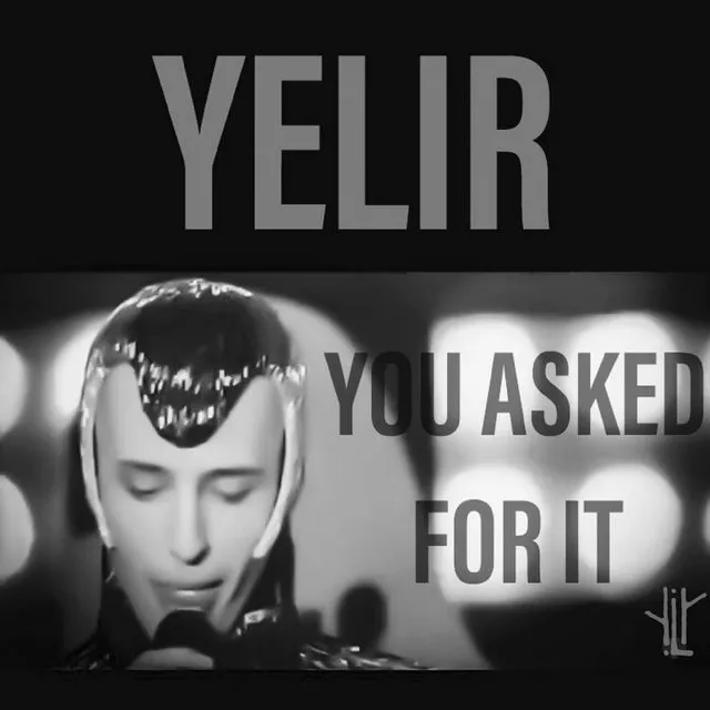 You Asked For It cover